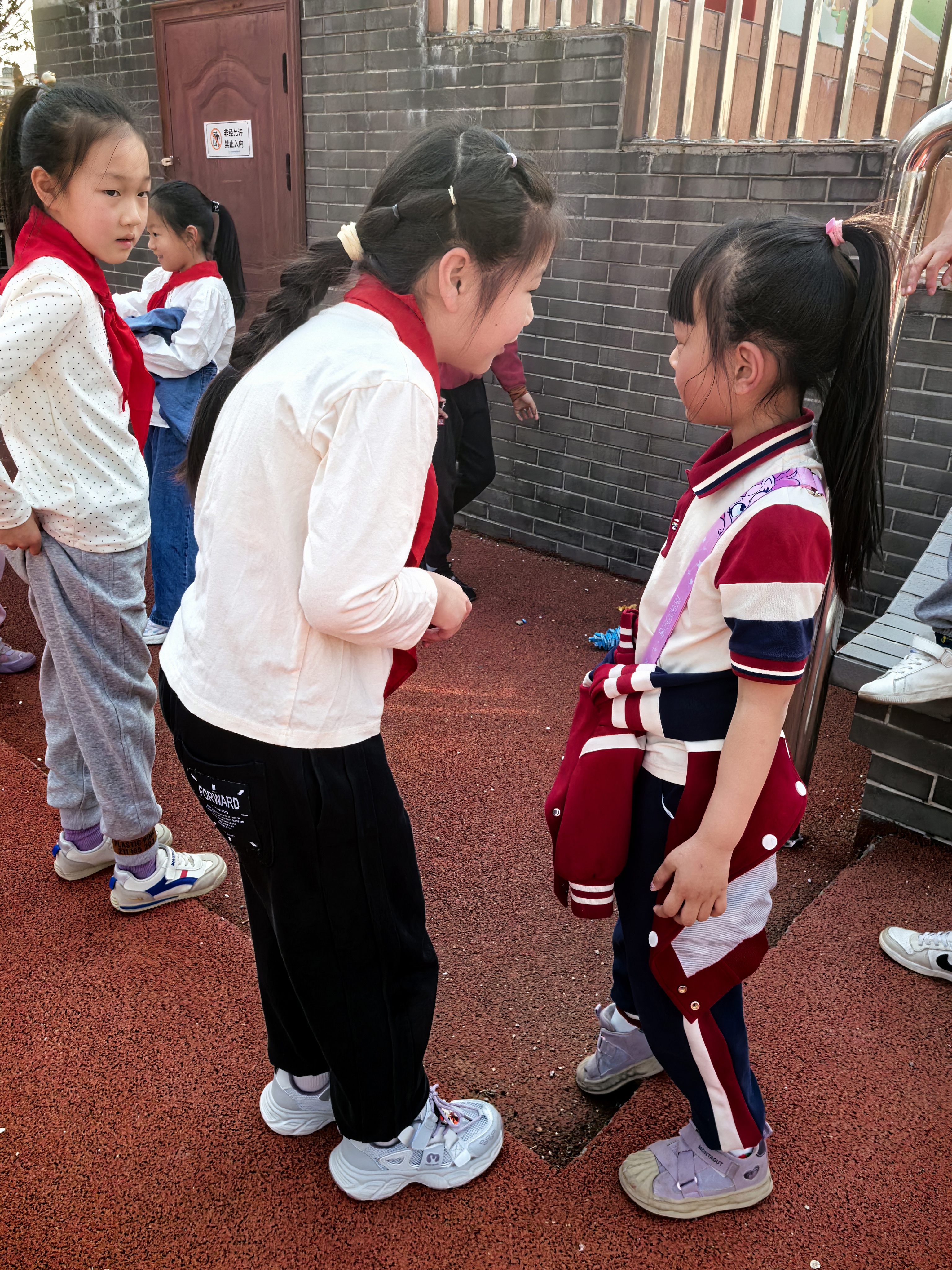 IMG_20250326_093532