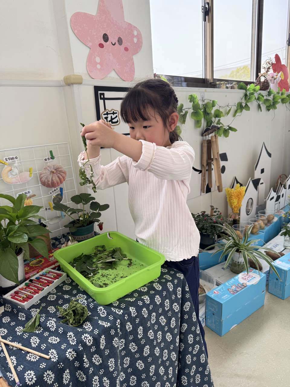 清理2