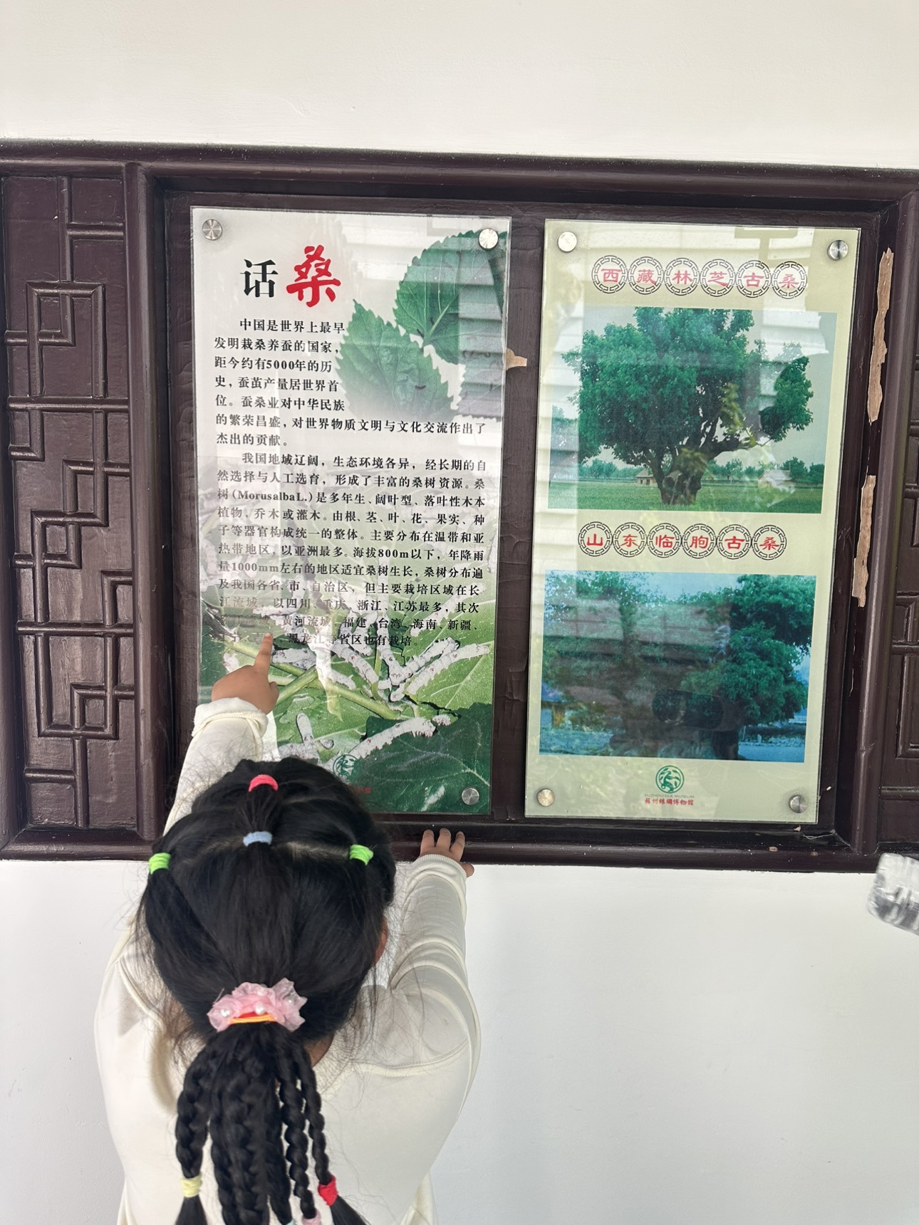 参观1