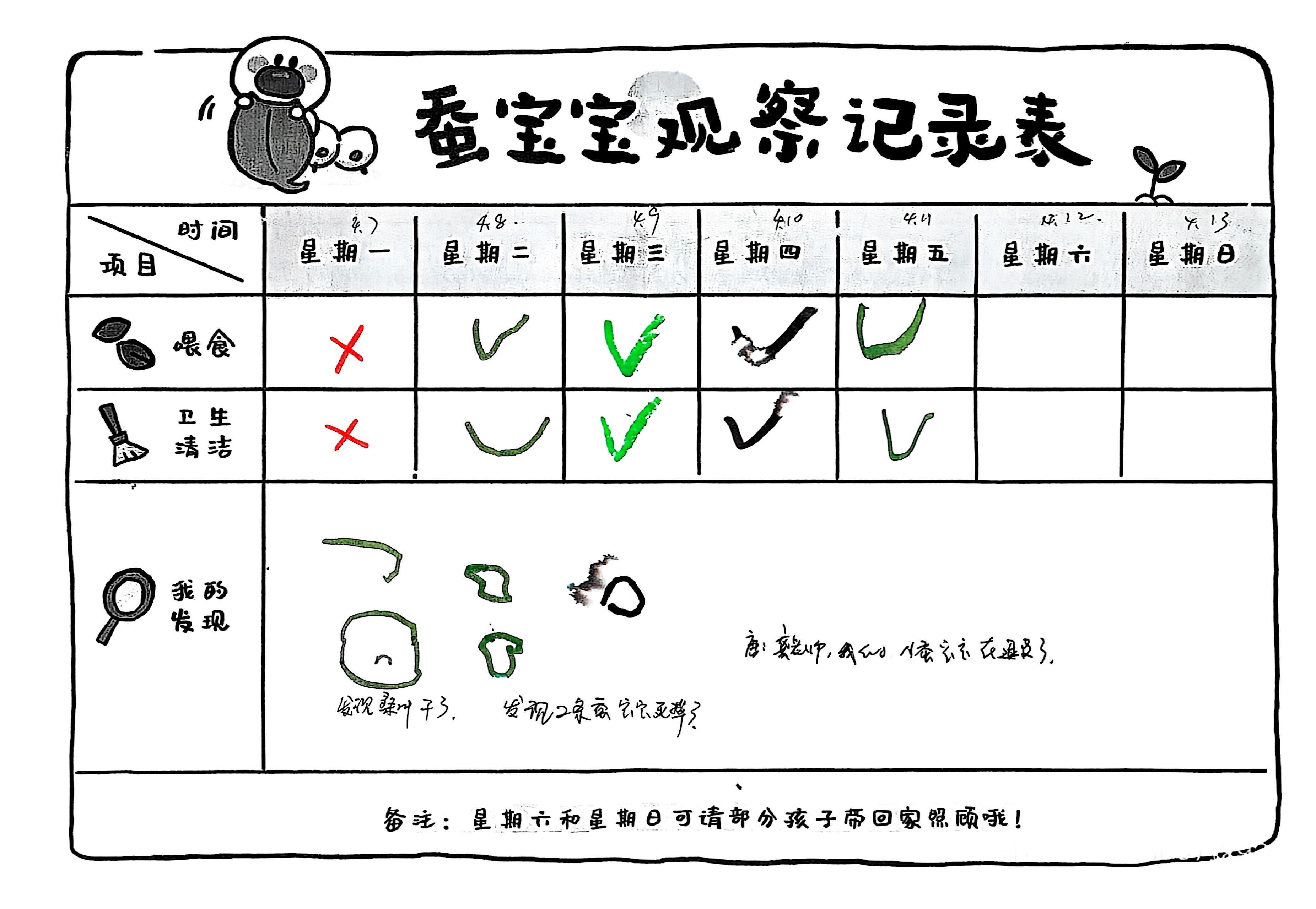 蚕宝宝观察记录表