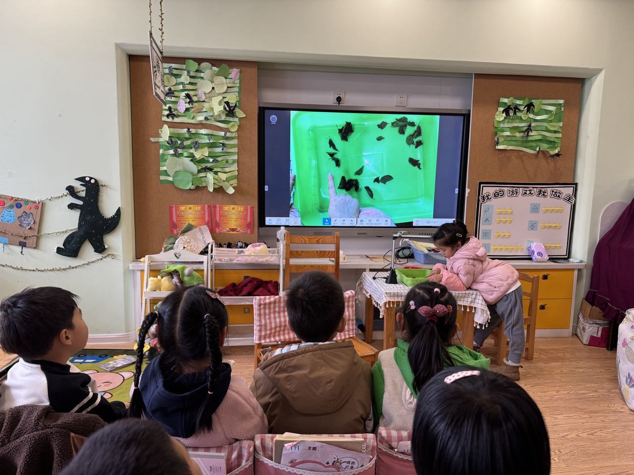 观察蚁蚕1