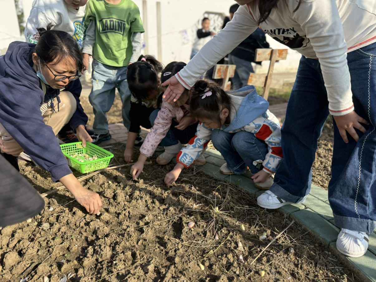 lQDPKIFykRSfdd_NA4jNBLawmT9idAivCAoI1Exkk_JJAA_1206_904