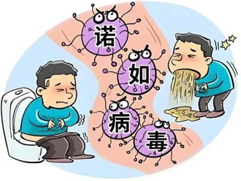 预防诺如病毒传染性肠胃炎