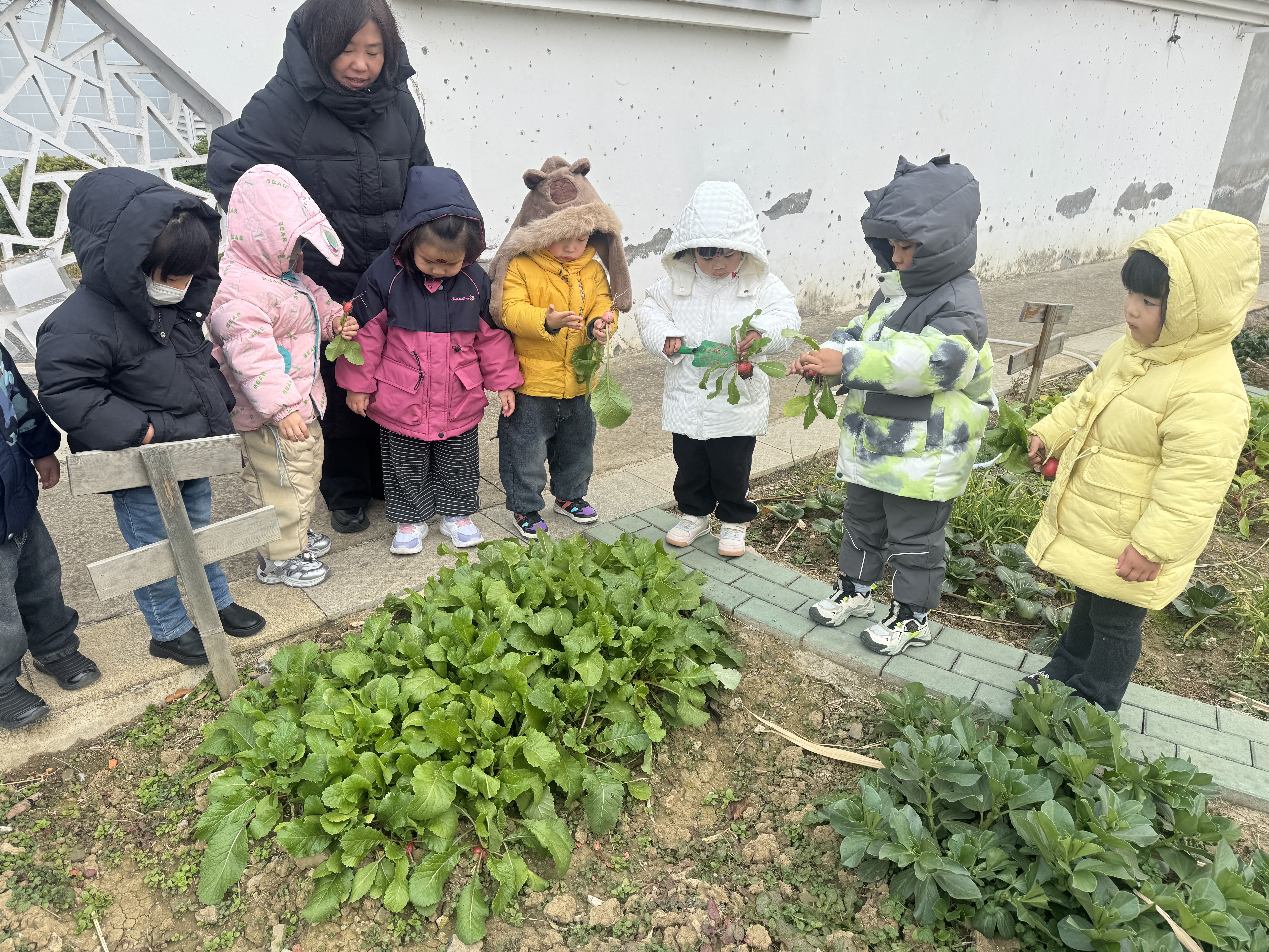 lQDPJwkJml1dLk_NELzNFlCwbMY1ZM0WKPUJNi-OYIJNAA_5712_4284