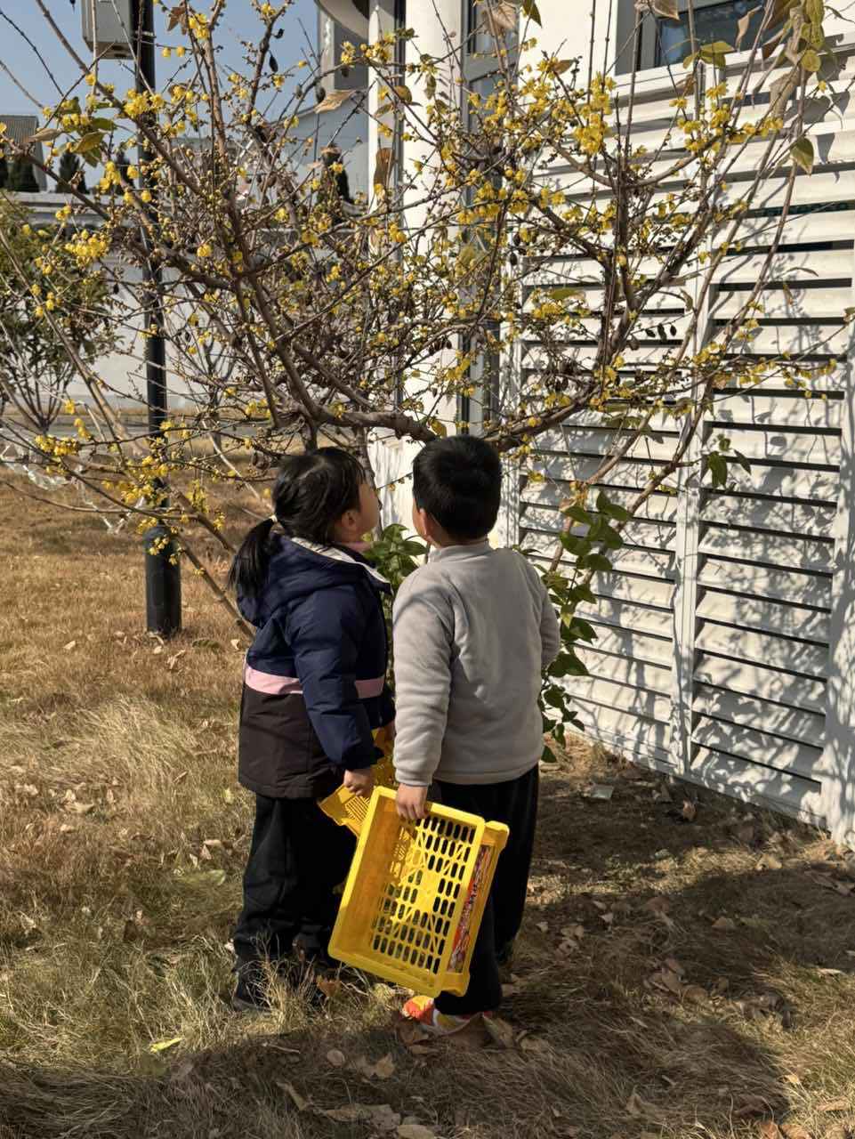 lQDPJxoO_f_VO8vNBQDNA8GwxlwEZHNmBjIJQviIlShuAA_961_1280