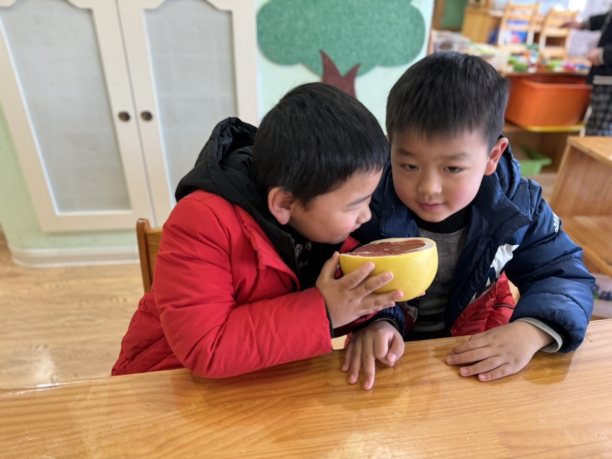 lQDPKcquWXrI0mPNA4jNBLawtOOs-YJxPqYJHrOkiw_zAA_1206_904