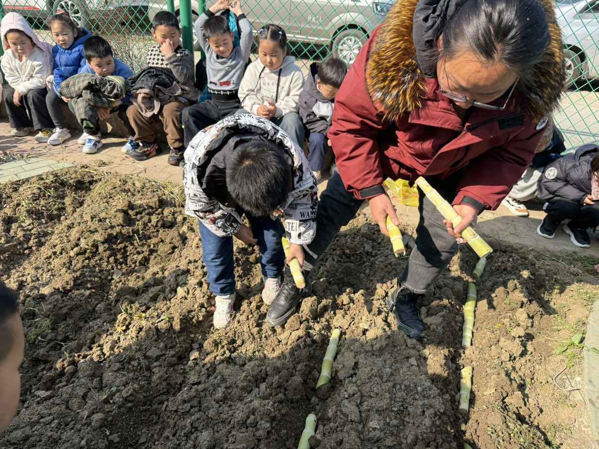 lQDPJx0nKU85FsnNA4jNBLawl_YWAjQpcsoJiYzutOxQAA_1206_904