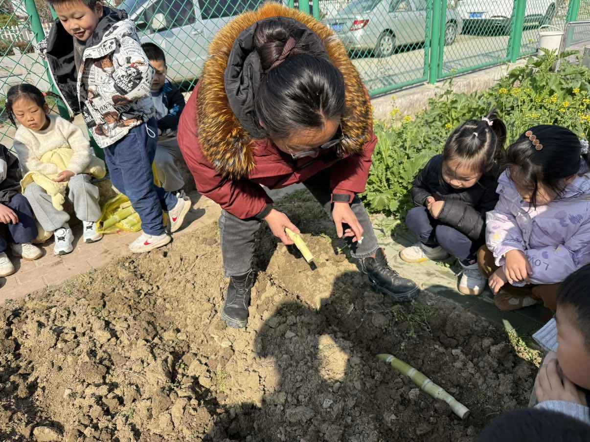 lQDPJwh4_i3oCMnNA4jNBLawvwyPky19wKwJiYzwTyxwAA_1206_904