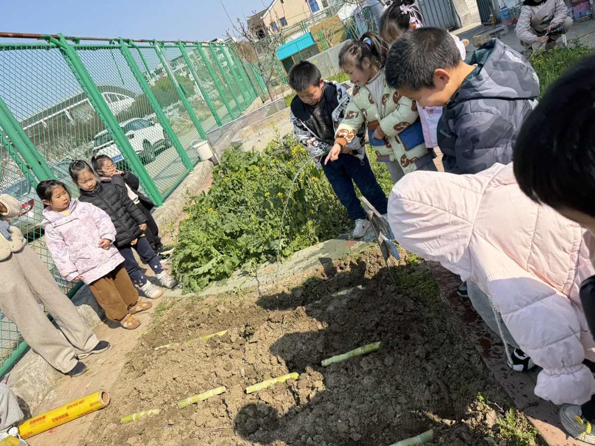 lQDPKIFrSlw3r-HNA4jNBLawOpd5TUZbFOgJkT2GLKfWAA_1206_904