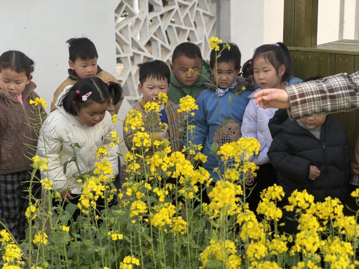 lQDPKdpHCA_kZkXNA3bNBJ6wHx0cpjtd3JoJm-BkqEujAA_1182_886