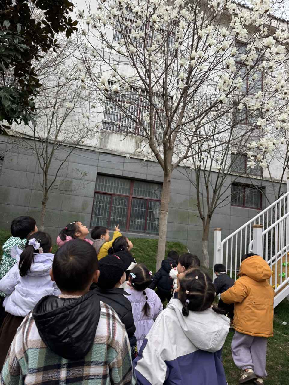 lQDPJxWB7e8bjAXNBQDNA8GwLIN0km8z-GwJm9_2CAeOAA_961_1280