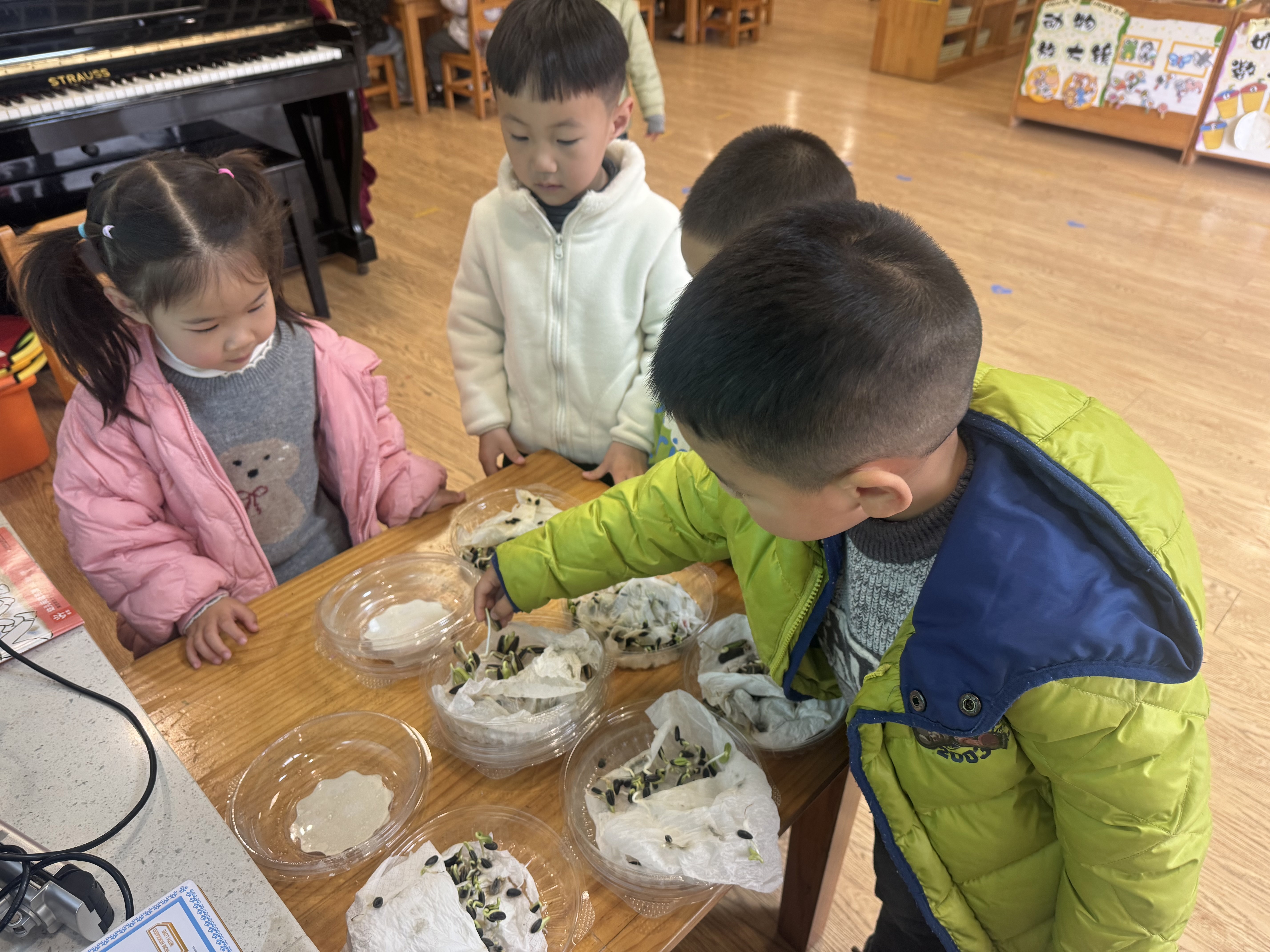 lQDPJxkihedNFhXNELzNFlCwQ8-DdwpzxTwJojcarE-NAA_5712_4284