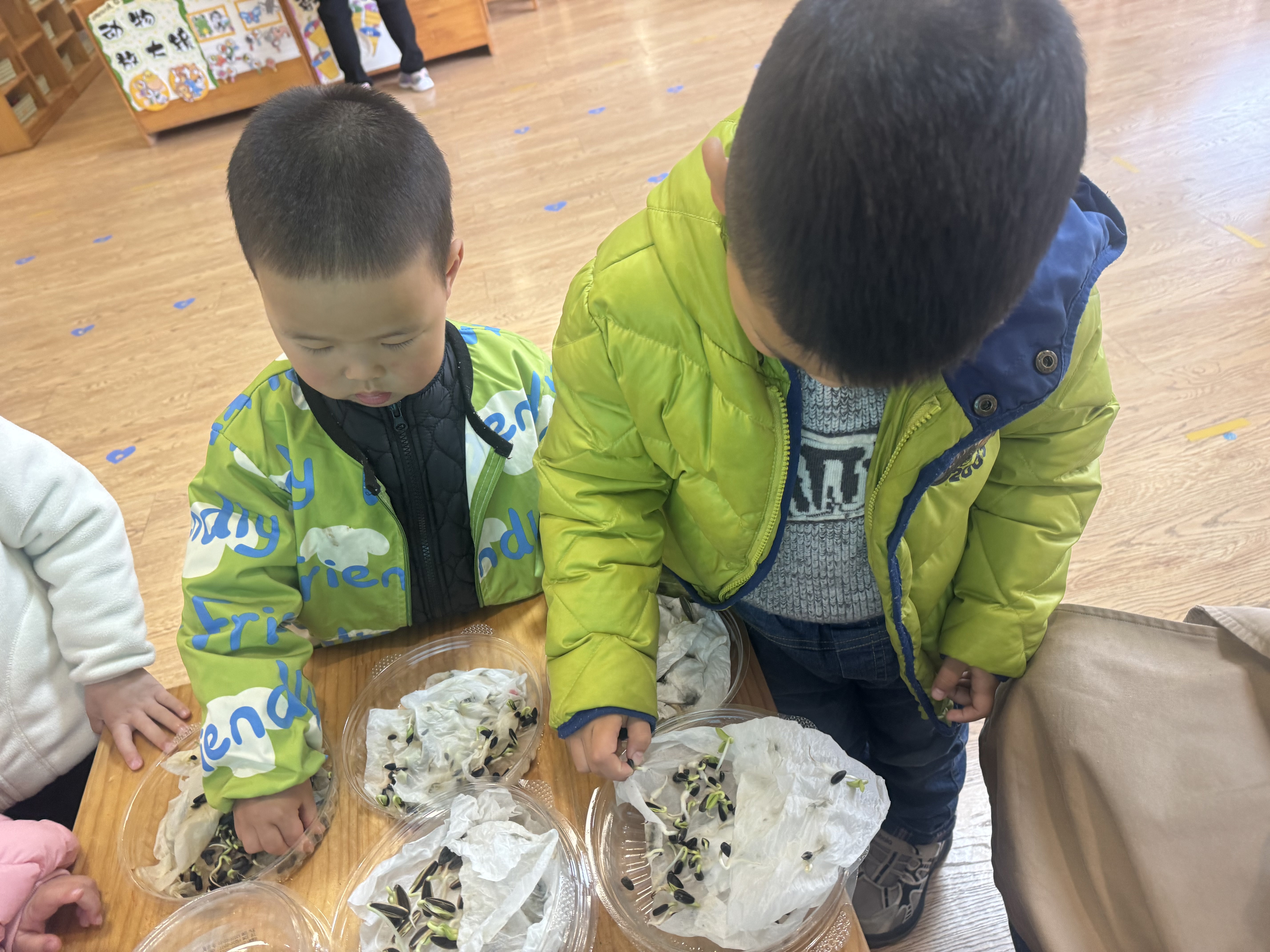 lQDPJwcDMNY5CBXNELzNFlCwAE621Q95N0EJojccbaTTAA_5712_4284