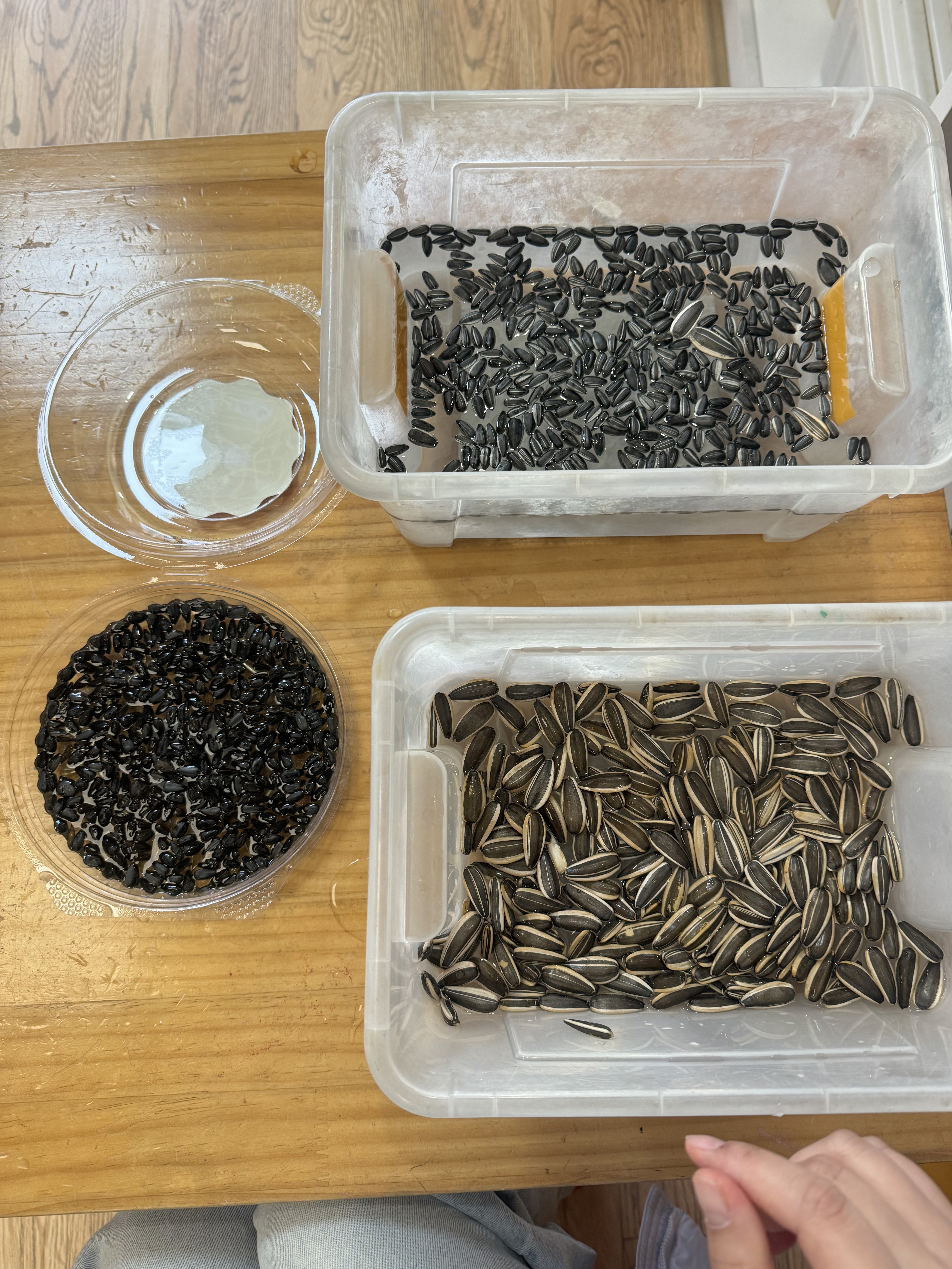 lQDPKIKotEAi9lXNELzNFlCwafa2Jgc3wq8Jm-W3nr7rAA_5712_4284