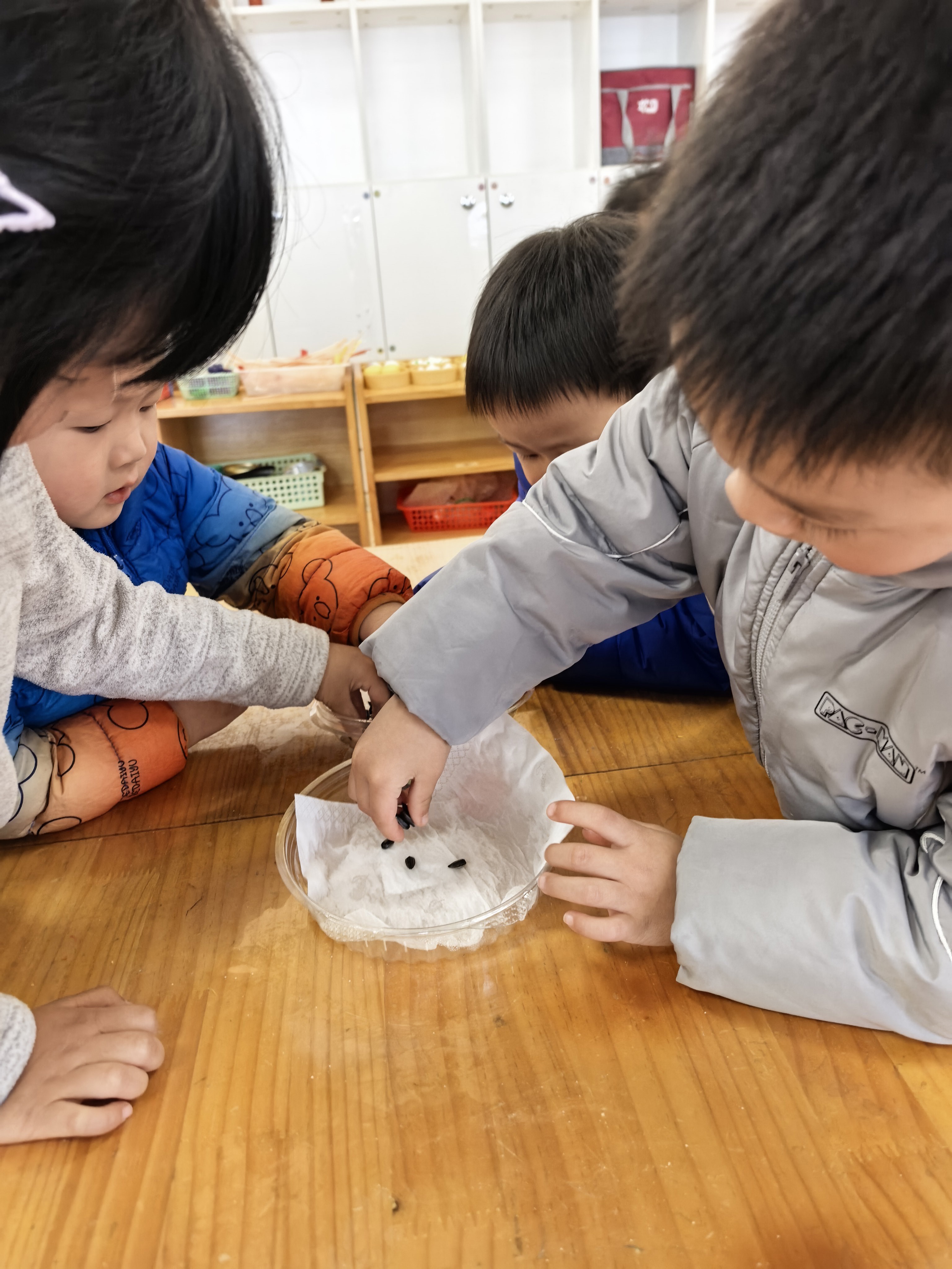 lQDPKd2T86gBoVXNEADNDACwIuBwn8uUzoIJm-WydIOZAA_3072_4096