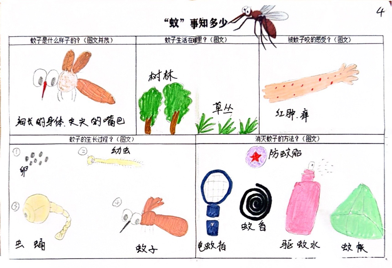 扫描全能王 2026-5-25 10.30_2