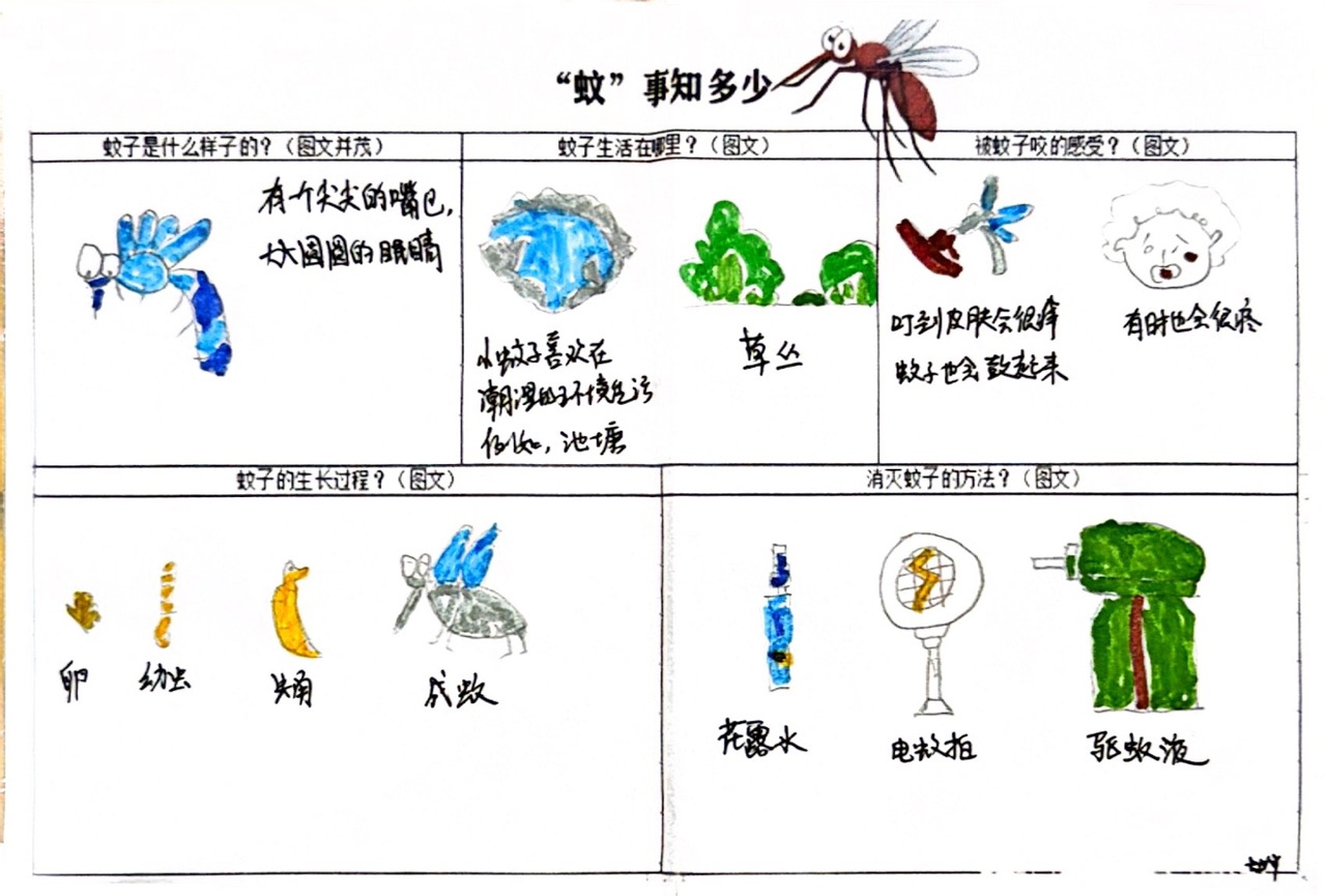 扫描全能王 2026-5-25 10.30_4